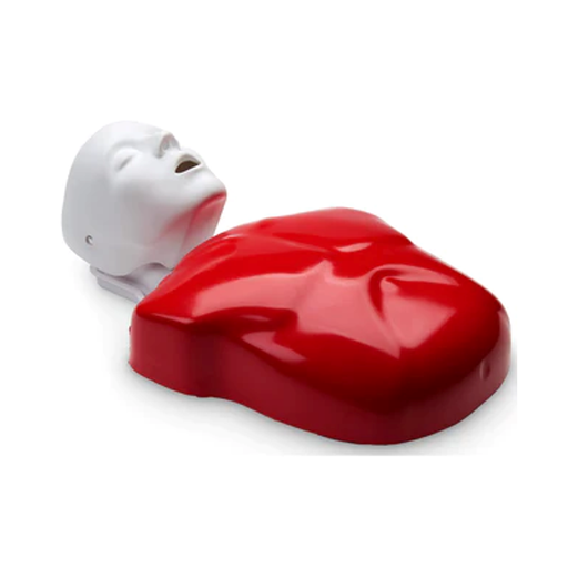 [PP-3BS-MF-1T] Basic Buddy - Torse de réanimation de base