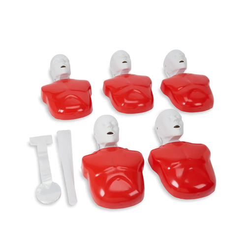 [PP-3BS-MF-5T] Basic Buddy - 5 Torses de réanimation de base
